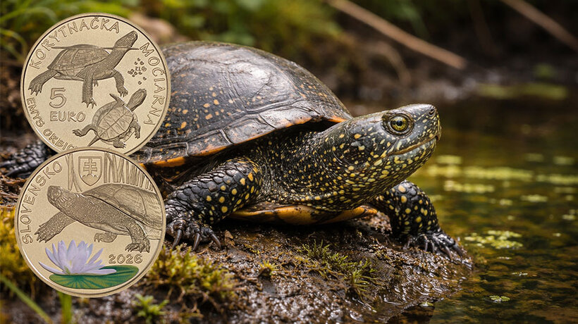 Marsh Turtle 5 Euro Collector Coin 2026
