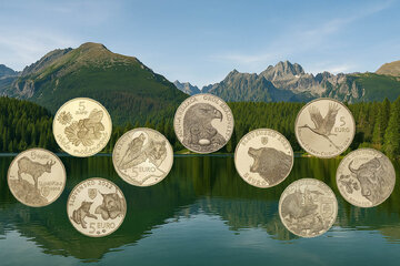 The Story of 5-Euro Coins: From Idea to Success