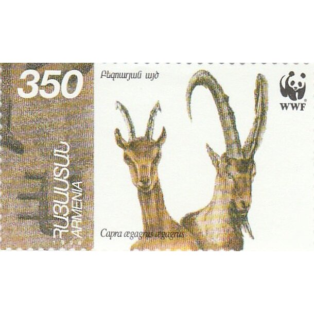 Lot fdc arménsko 1996 - kozorožce - set-fdc-armensko-1996-5