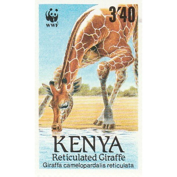 Lot fdc keňa 1989 - žirafy - set-fdc-kena-1989-3