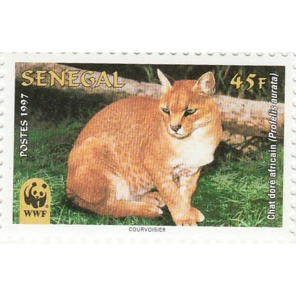 Lot fdc senegal 1997 - mačka zlatá - set-fdc-senegal-1997-2