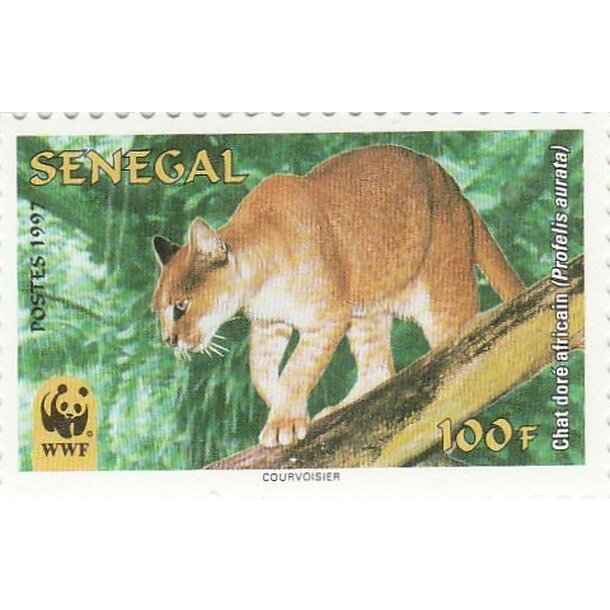 Lot fdc senegal 1997 - mačka zlatá - set-fdc-senegal-1997-3