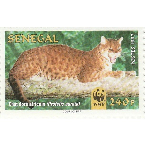 Lot fdc senegal 1997 - mačka zlatá - set-fdc-senegal-1997-4