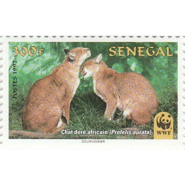 Lot fdc senegal 1997 - mačka zlatá - set-fdc-senegal-1997-5