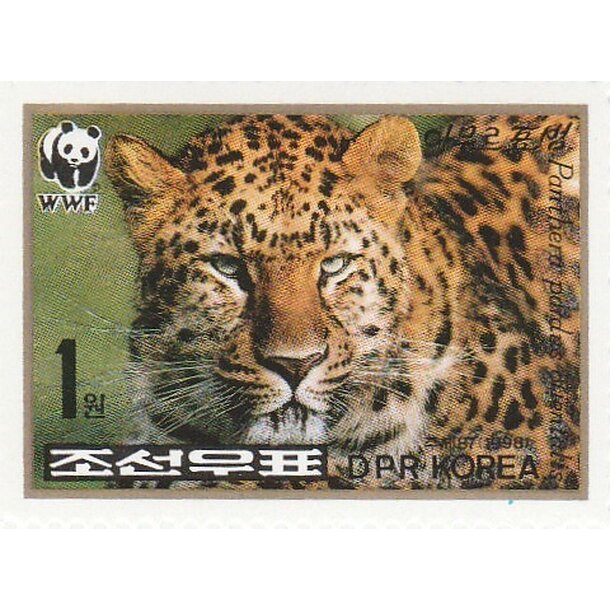 Lot fdc severná kórea 1998 - leopard amurský - set-fdc-korea-1998-4