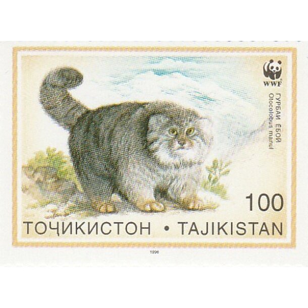 Lot fdc tadžikistan 1996 - manul - set-fdc-tadžikistan-1996-2