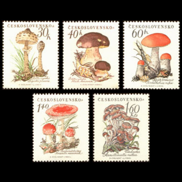 Séria známok československo 1958 - huby - znamky-1958-1101-05