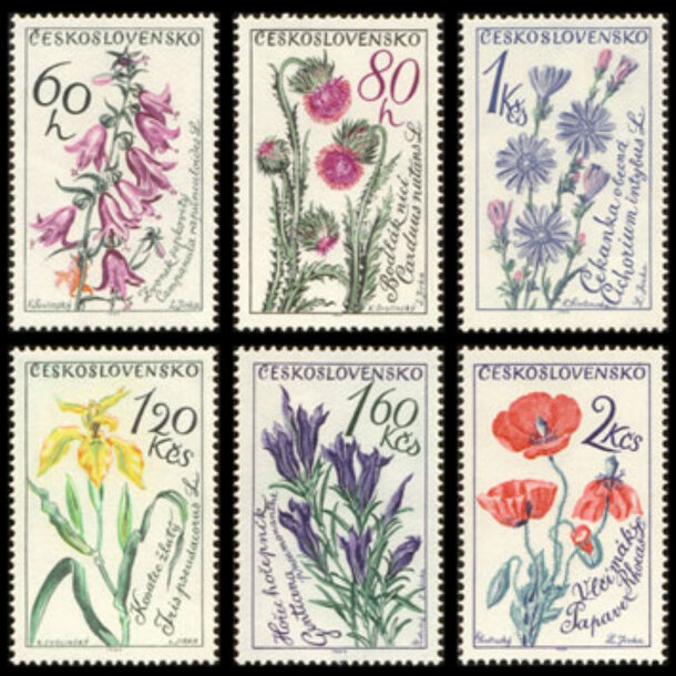 Séria známok československo 1964 - kvety - znamky-1964-1471-76