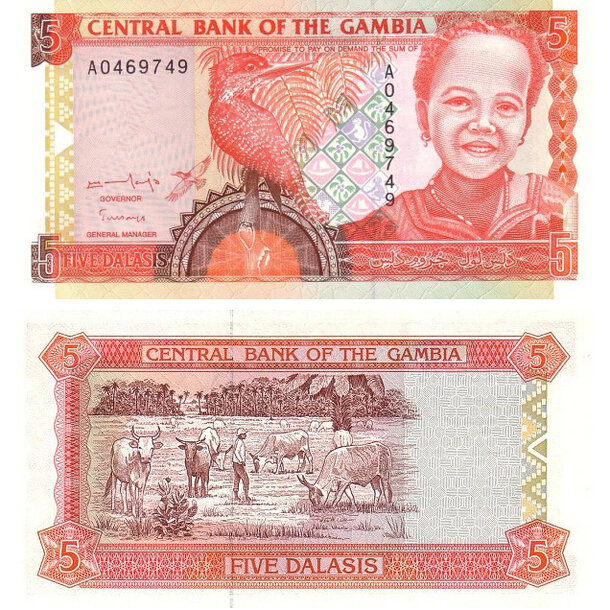 5 dalasis 1996 gambia - Bankovka Gambia 5 Dalasis 1996 - 16