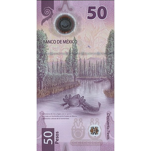 50 pesos 2024 mexiko - Bankovka Mexico 50 Pesos 2024 - 138-2