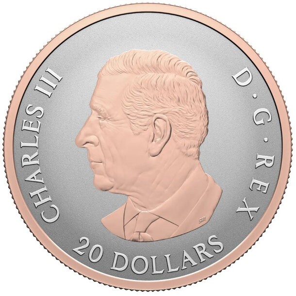 20 dollars kanada 2026 - celebrate love - proof - 20 Dollars Kanada 2026 - Celebrate Love-2