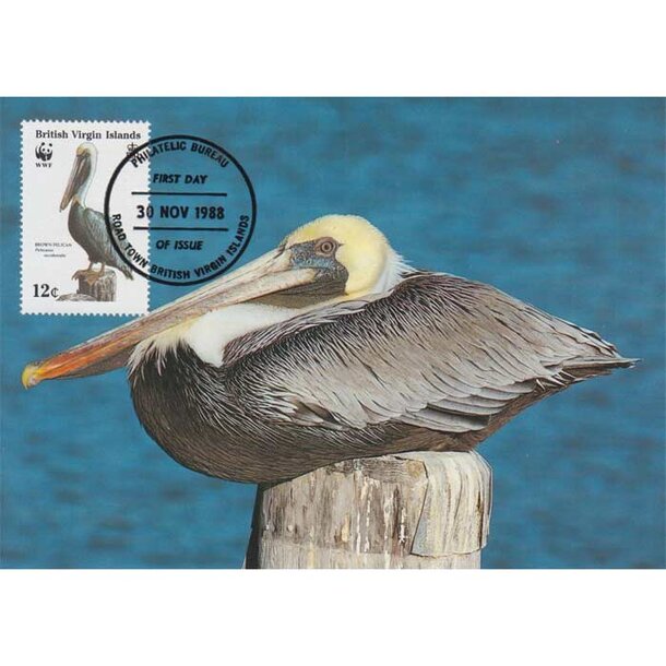 carte-maximum-pelikan