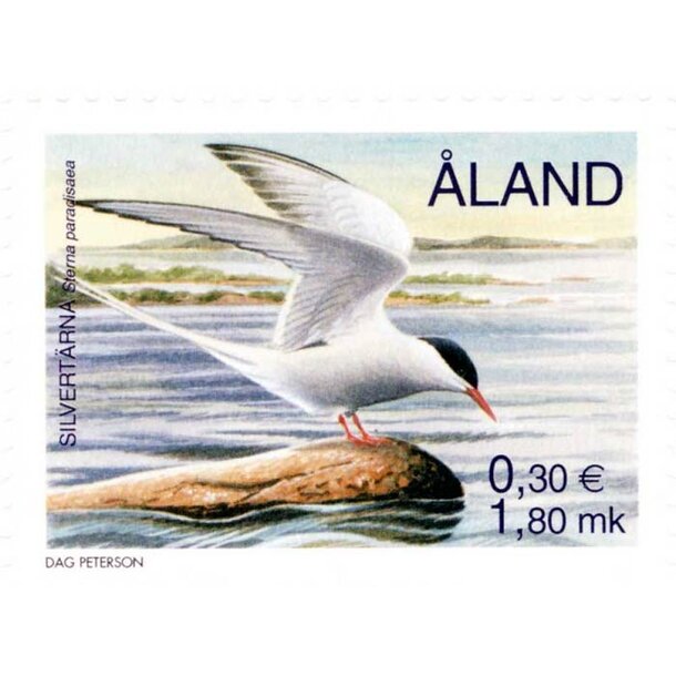 alandy370