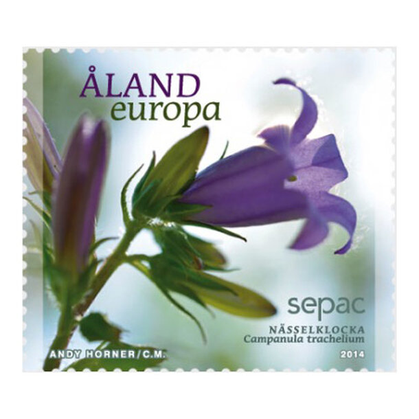 alandy12398