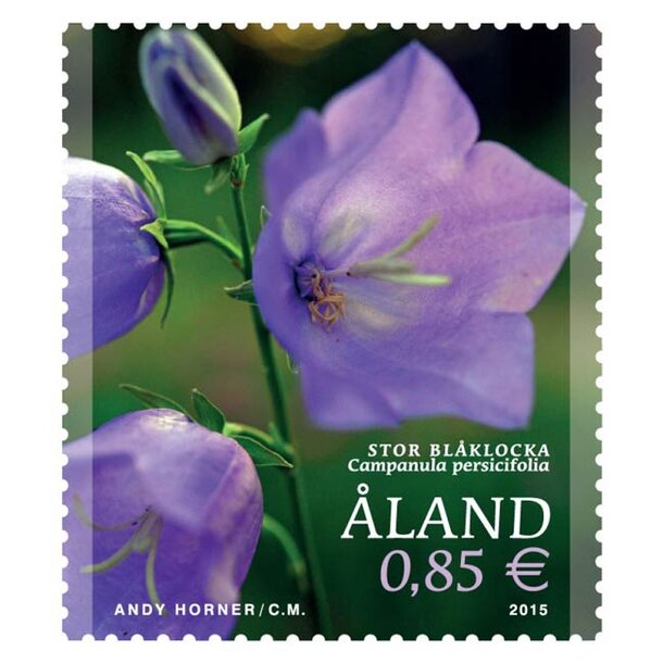 alandy16780