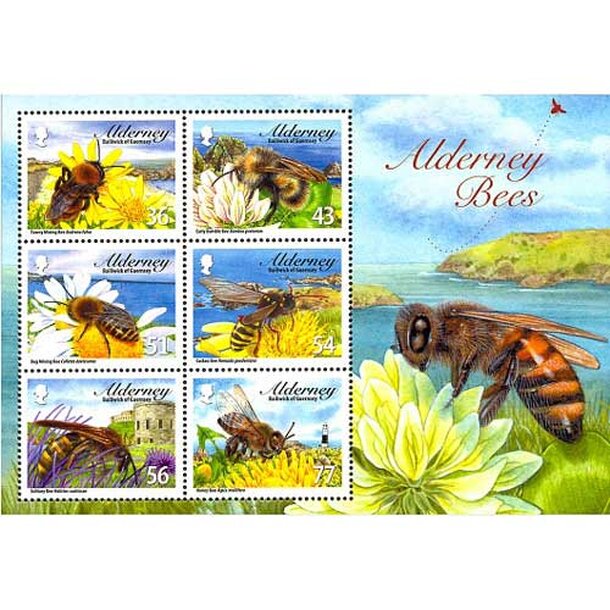 alderney888