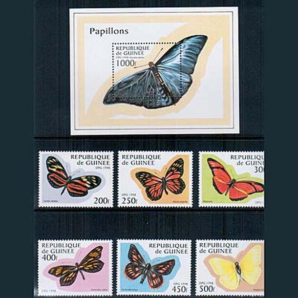 _vyr_800motyle-guinea-1998