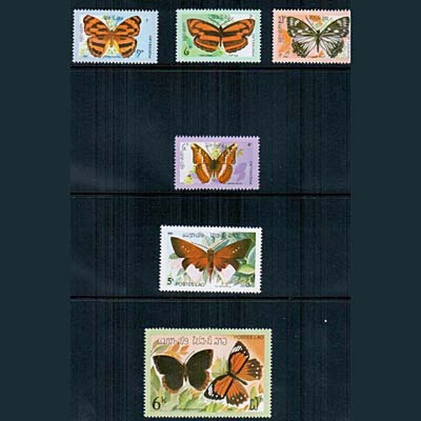 _vyr_803motyle-laos1982