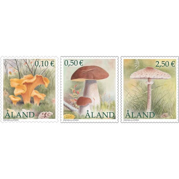 alandy376