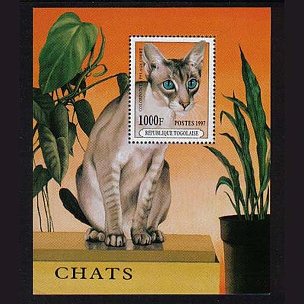 _vyr_750macky-togo1997
