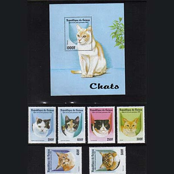 _vyr_741macky-guinea-1998