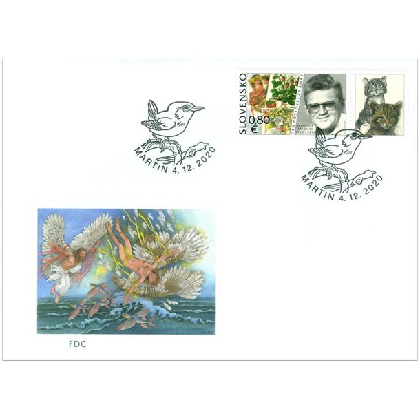 fdc--vladimir-machaj