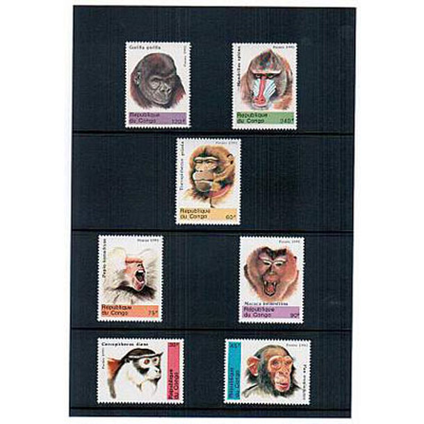 Kongo_Opice_1991_400