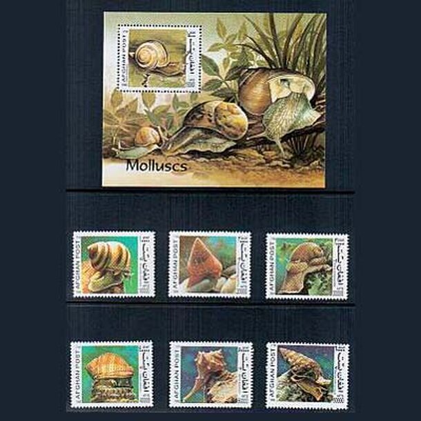 _vyr_508afganistan-slim-eky1999