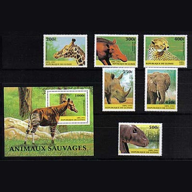 _vyr_894guinea-1997