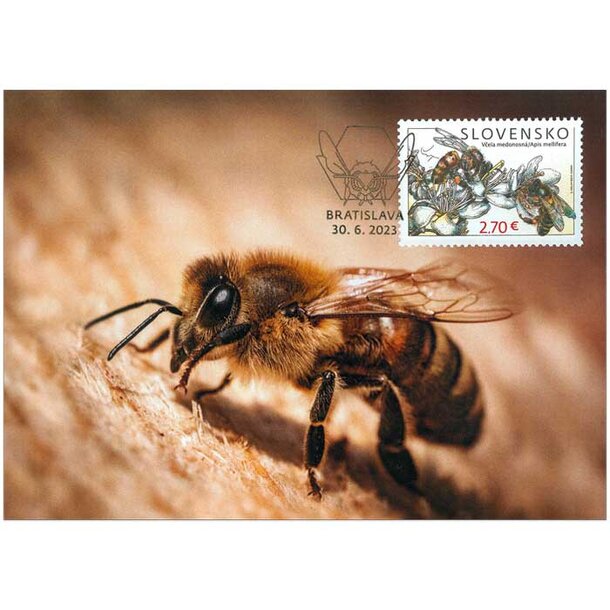 carte-2023-vcely