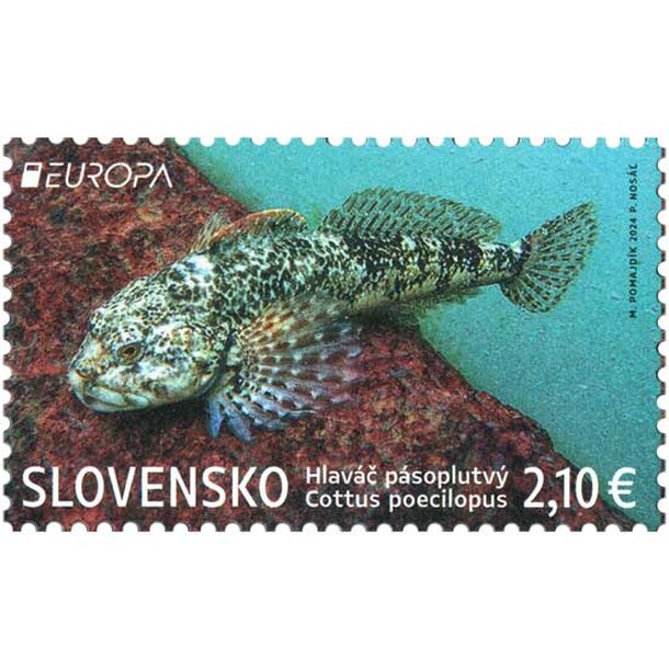 znamka-hlavac