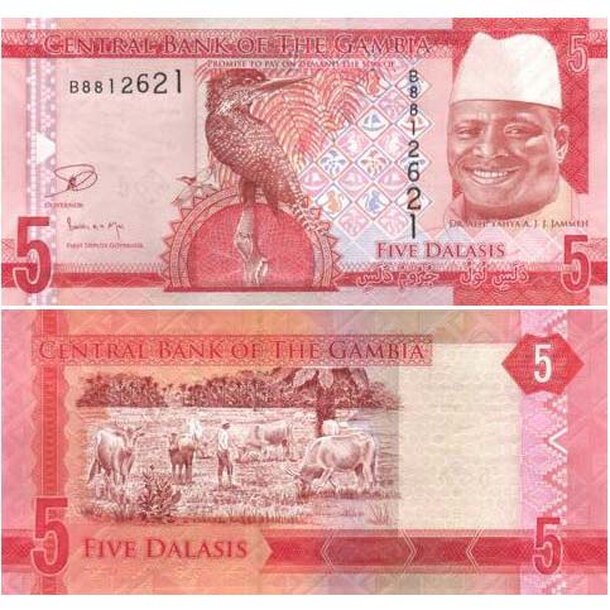 gambia_5_dalasis_2015