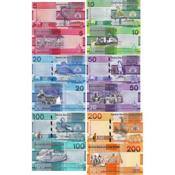 set-gambia-2019
