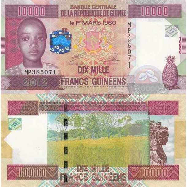 guinea_29790