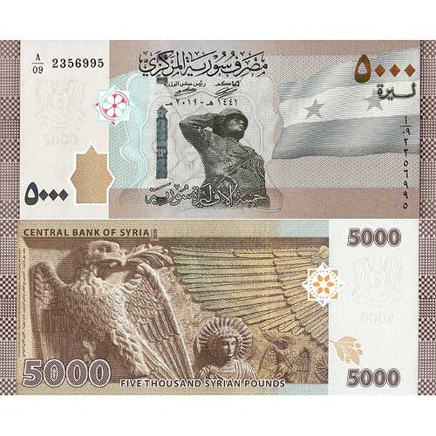 syria-5000-pounds-2019