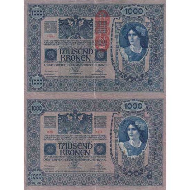 1000-k-rakusko-1902-20-5