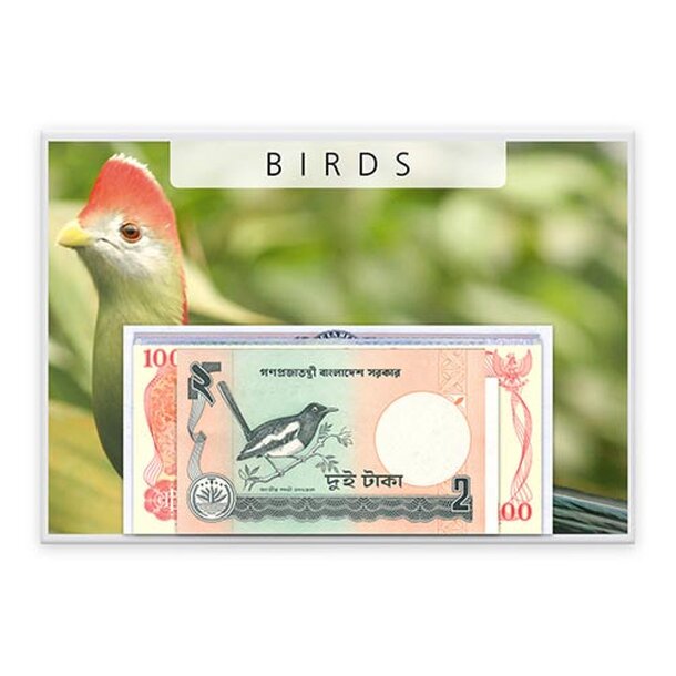 birds_i_24993