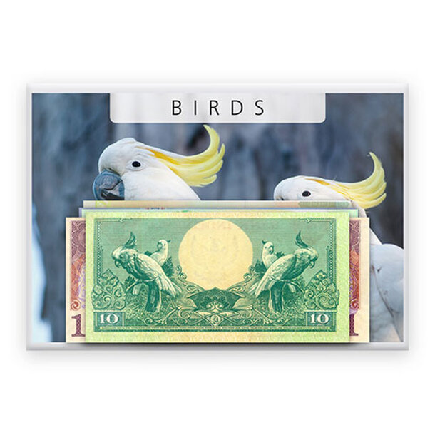 birds_i_41853