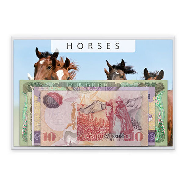 horses_33650