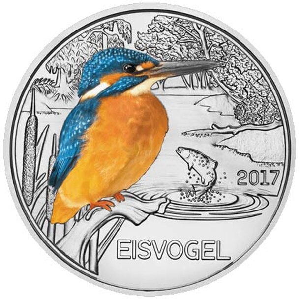 3e_2017_eisvogel_rv