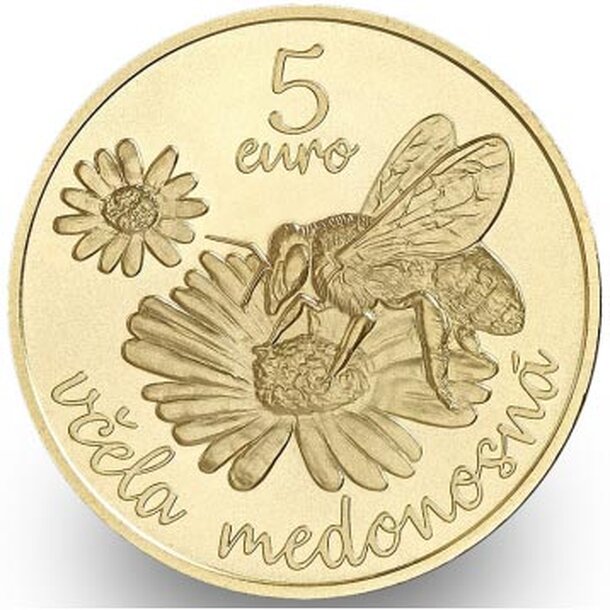 5e-vcela-fb