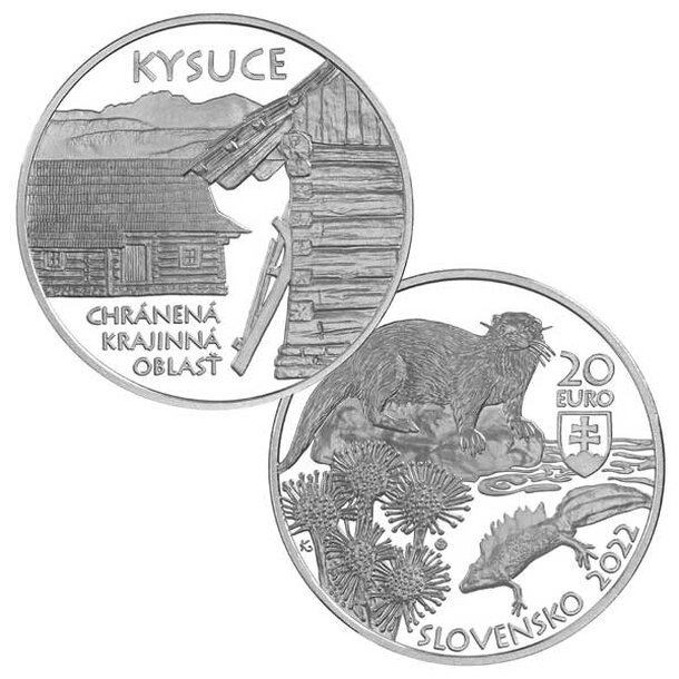 20-euro-kysuce