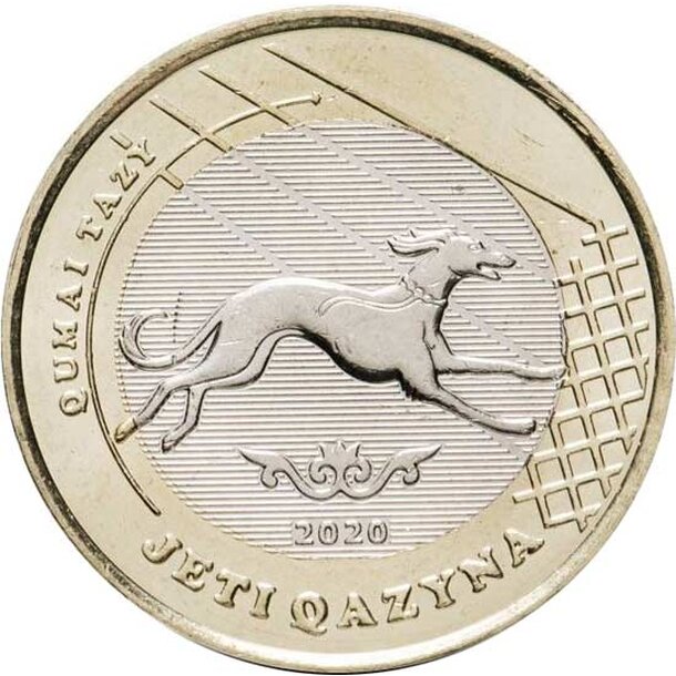 kazachstan-2020-qumai-tazy