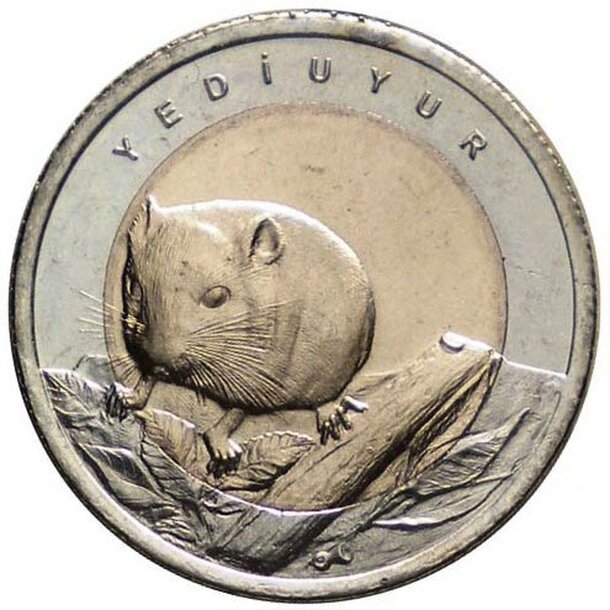 turecko-1-lira-plch-1