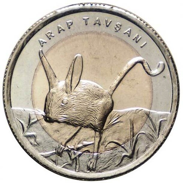 turecko-1-lira-tarbik-1