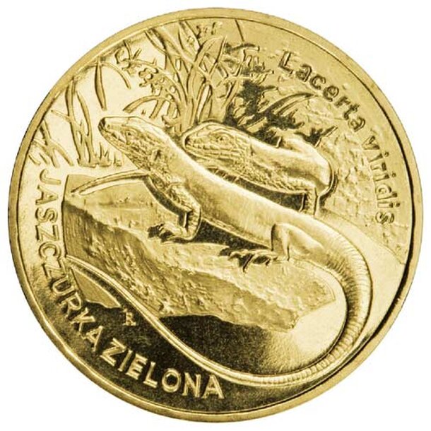 2009_04___jaszczurka_zielon