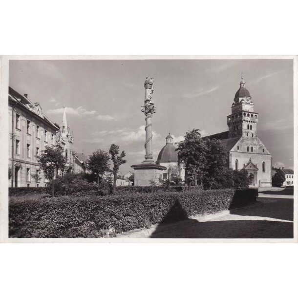 pohladnica-skalica-1