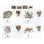 Lot fdc severná kórea 1998 - leopard amurský - set-fdc-korea-1998-1