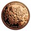 Medená minca zimná krajina zázrakov 1 unca - 1oz-copper-christmas-winter-wonderland-round-reverse_1