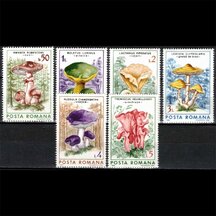 Series of Stamps Romania 1986 - Mushrooms